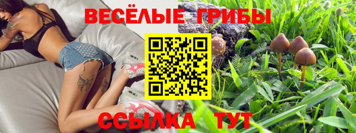 Псилоцибиновые грибы Cubensis Грязи