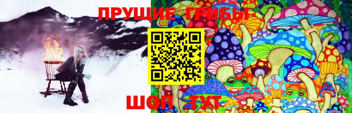 купить закладку  Вход с VPN  Грязи  Галлюциногенные грибы Psilocybine cubensis 